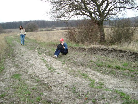 A teljes méretű képhez kattints ide