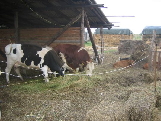 A teljes méretű képhez kattints ide