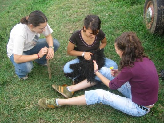 A teljes méretű képhez kattints ide