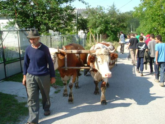 A teljes méretű képhez kattints ide