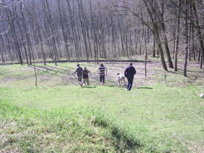 A teljes méretű képhez kattints ide