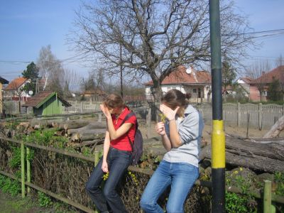 A teljes méretű képhez kattints ide