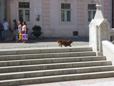 A teljes méretű képhez kattints ide