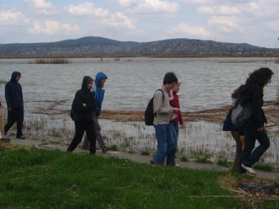 A teljes méretű képhez kattints ide