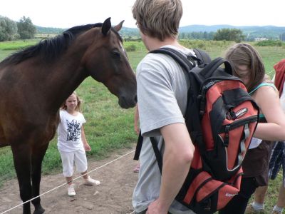 A teljes méretű képhez kattints ide