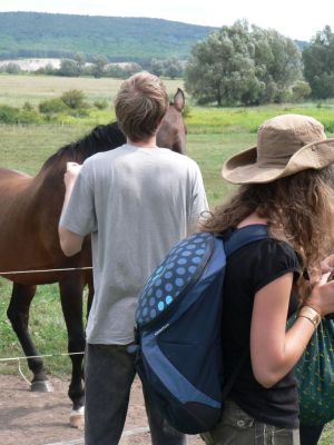 A teljes méretű képhez kattints ide