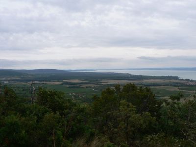 A teljes méretű képhez kattints ide