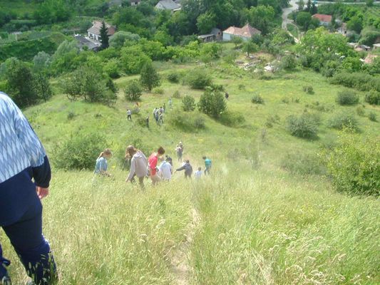 A teljes méretű képhez kattints ide